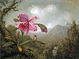 Mountain Canvas Paintings - Orchid and Hummingbird near Mountain Waterfall